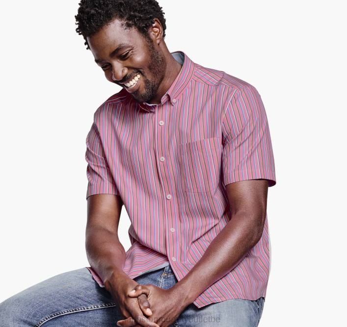 Johnston & Murphy Hommes chemise à manches courtes en coton imprimé TXRN424 vêtements bande rose